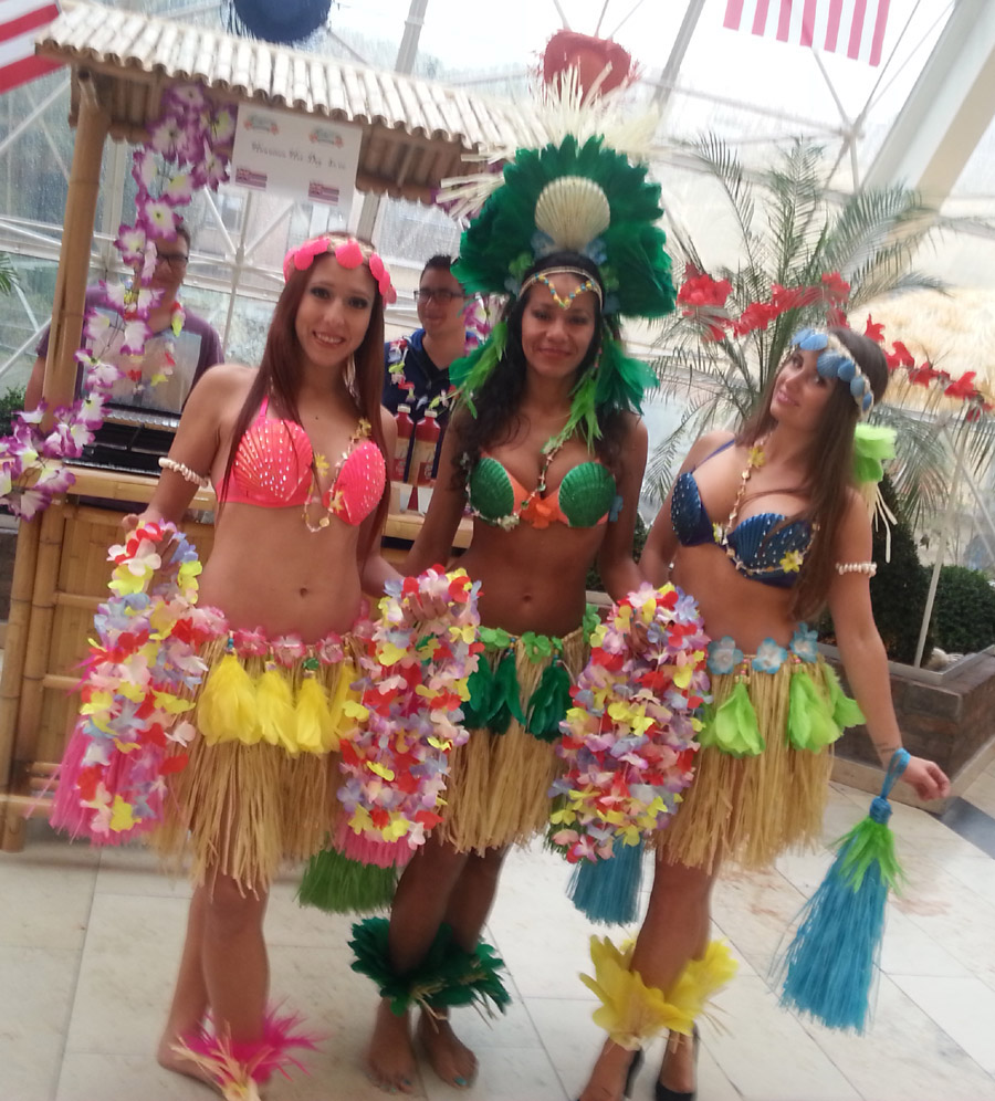 Hawaiian feest